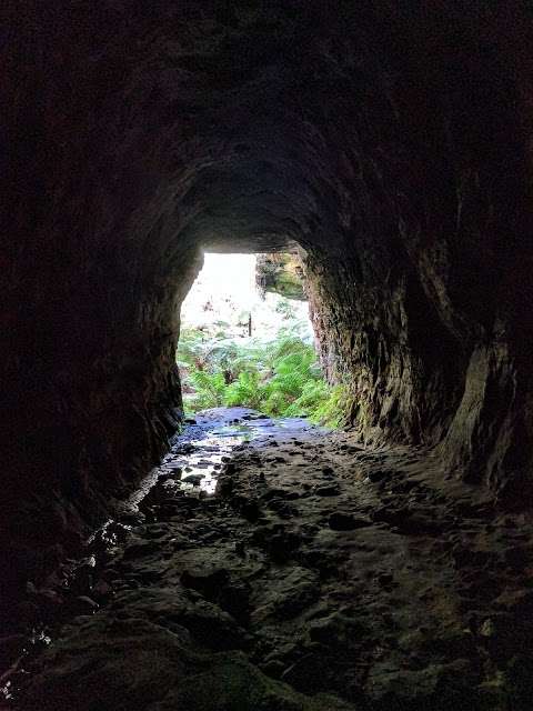 Photo: Glow Worm Tunnel